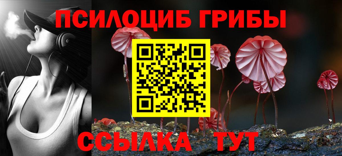 Псилоцибиновые грибы GOLDEN TEACHER  Псилоцибиновые грибы Psilocybine cubensis  Новочебоксарск  Вход с VPN 